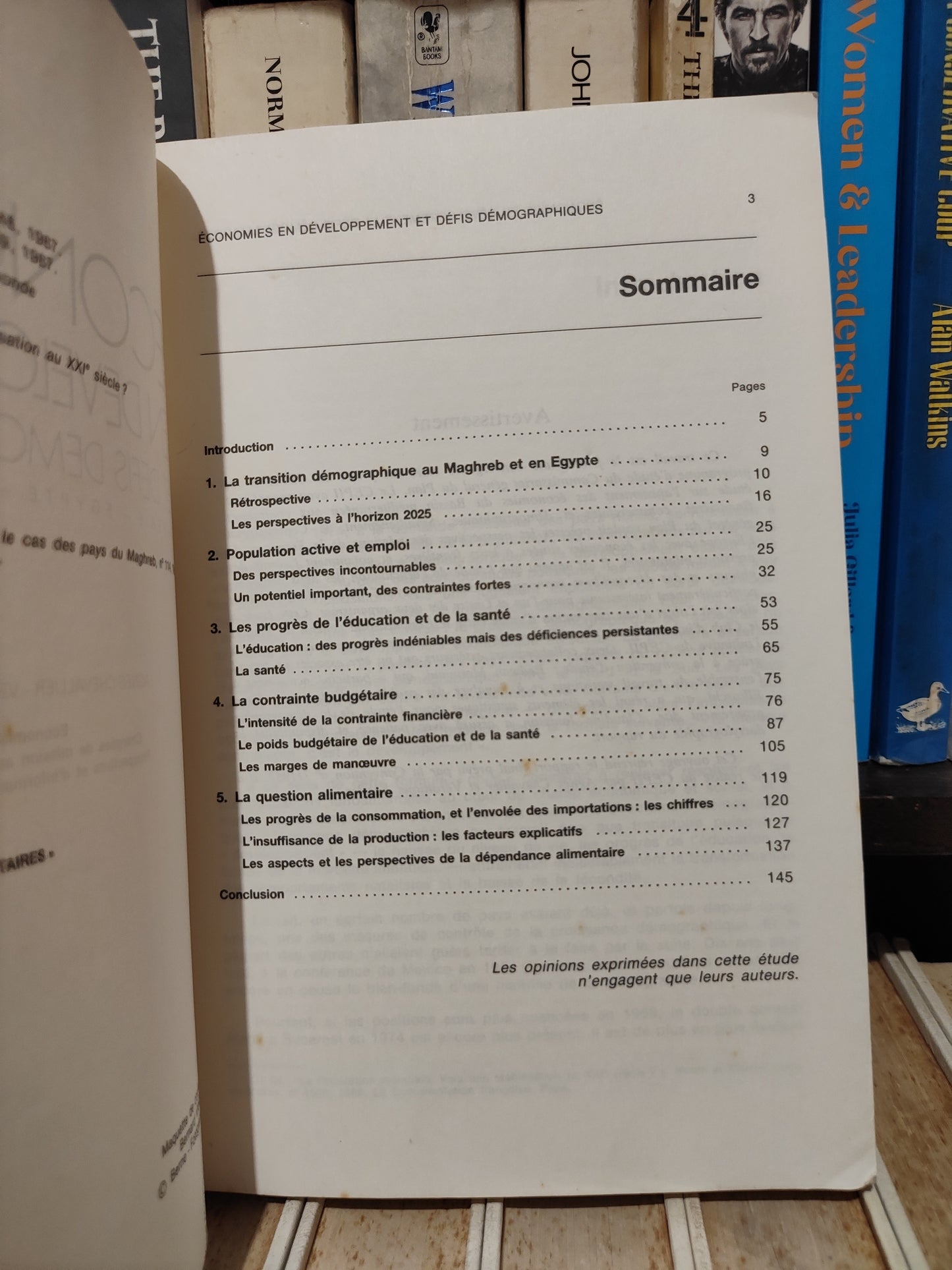 Chevallier - Économies en développement et défis démographique