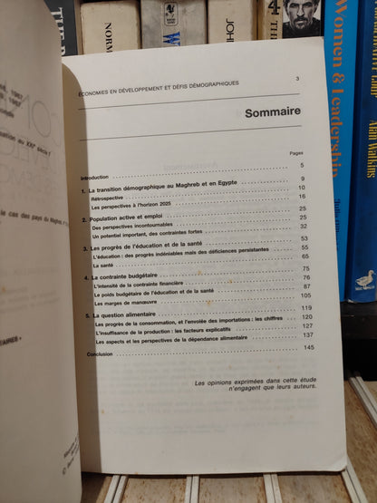 Chevallier - Économies en développement et défis démographique