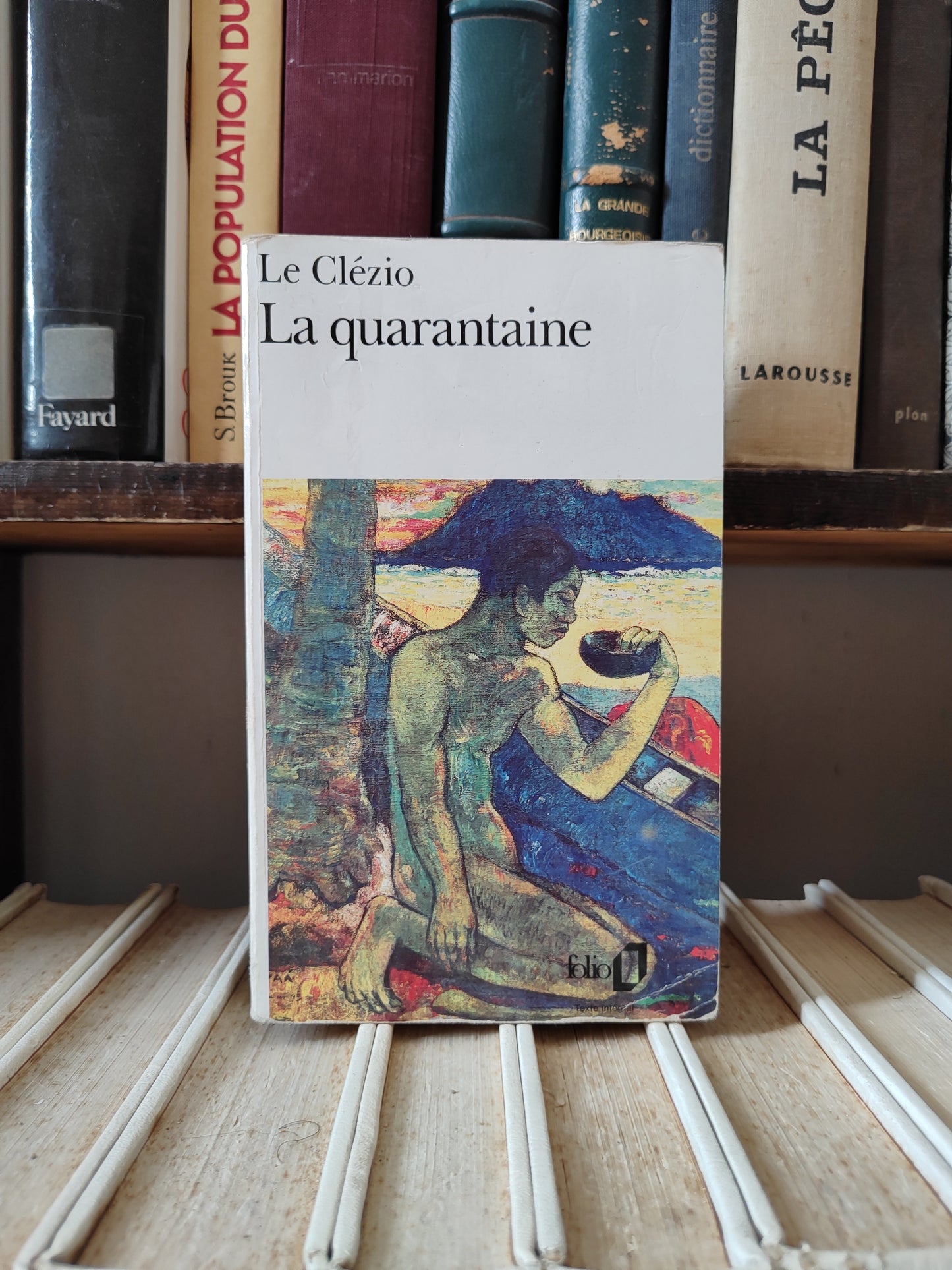 Clézio - Diego et Frida