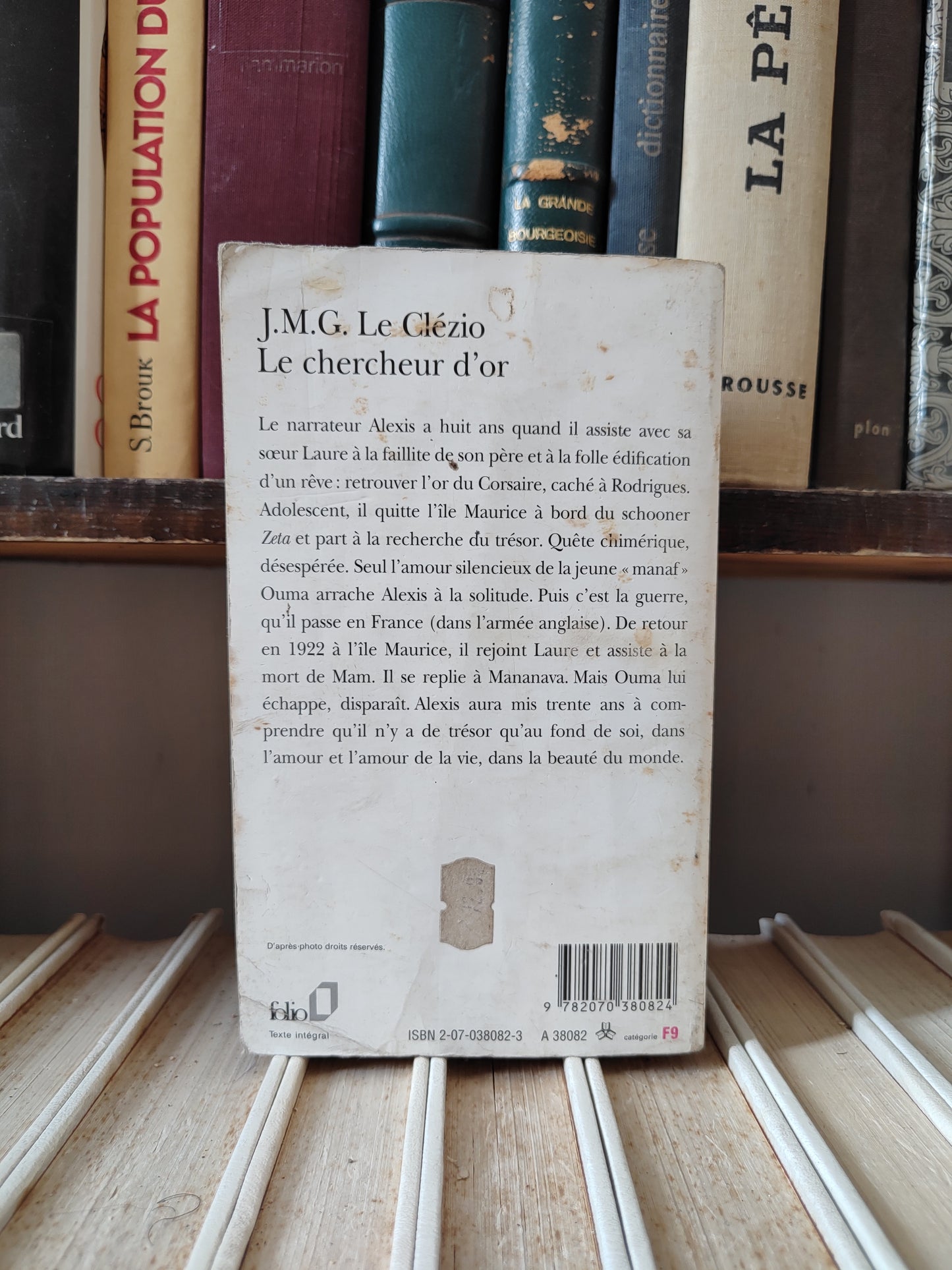 Clézio - Le chercheur d'or
