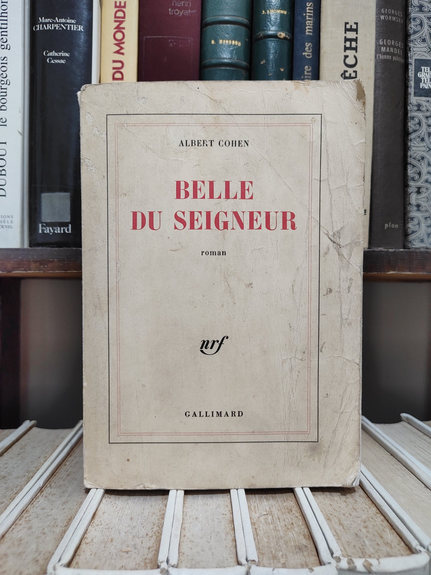 Cohen - Belle du seigneur