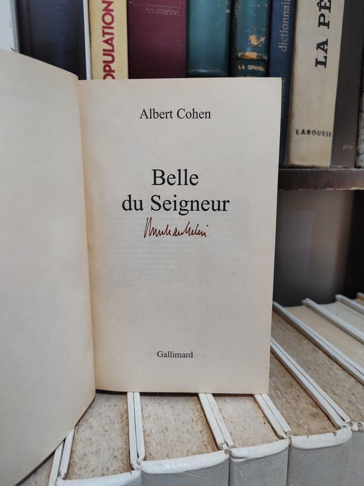 Cohen - Belle du seigneur