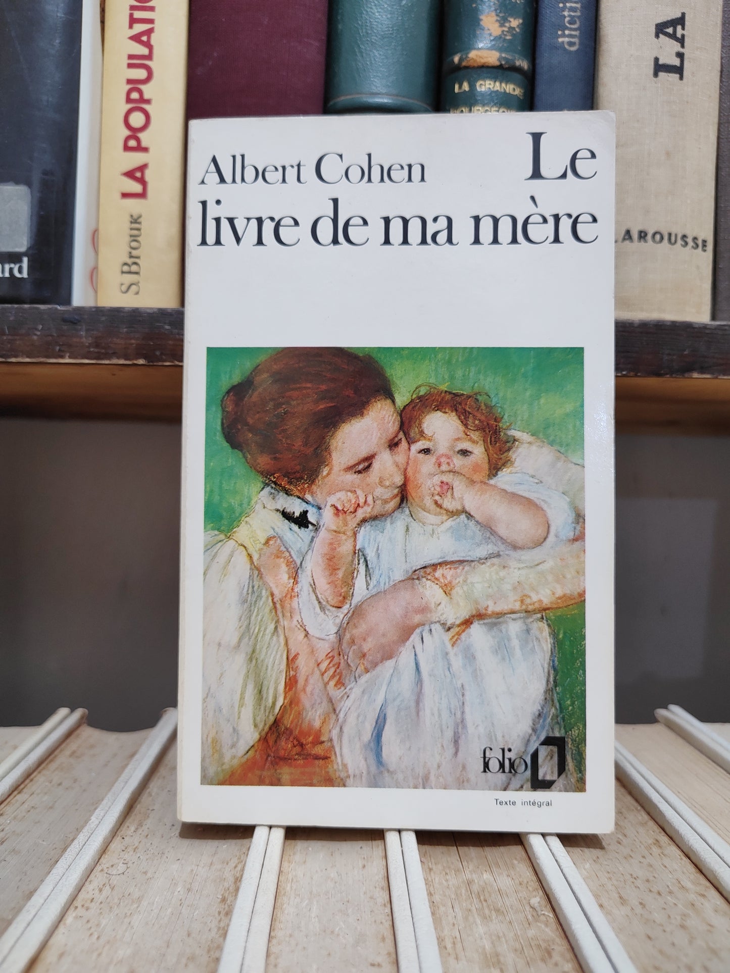 Cohen - Le livre de ma mère
