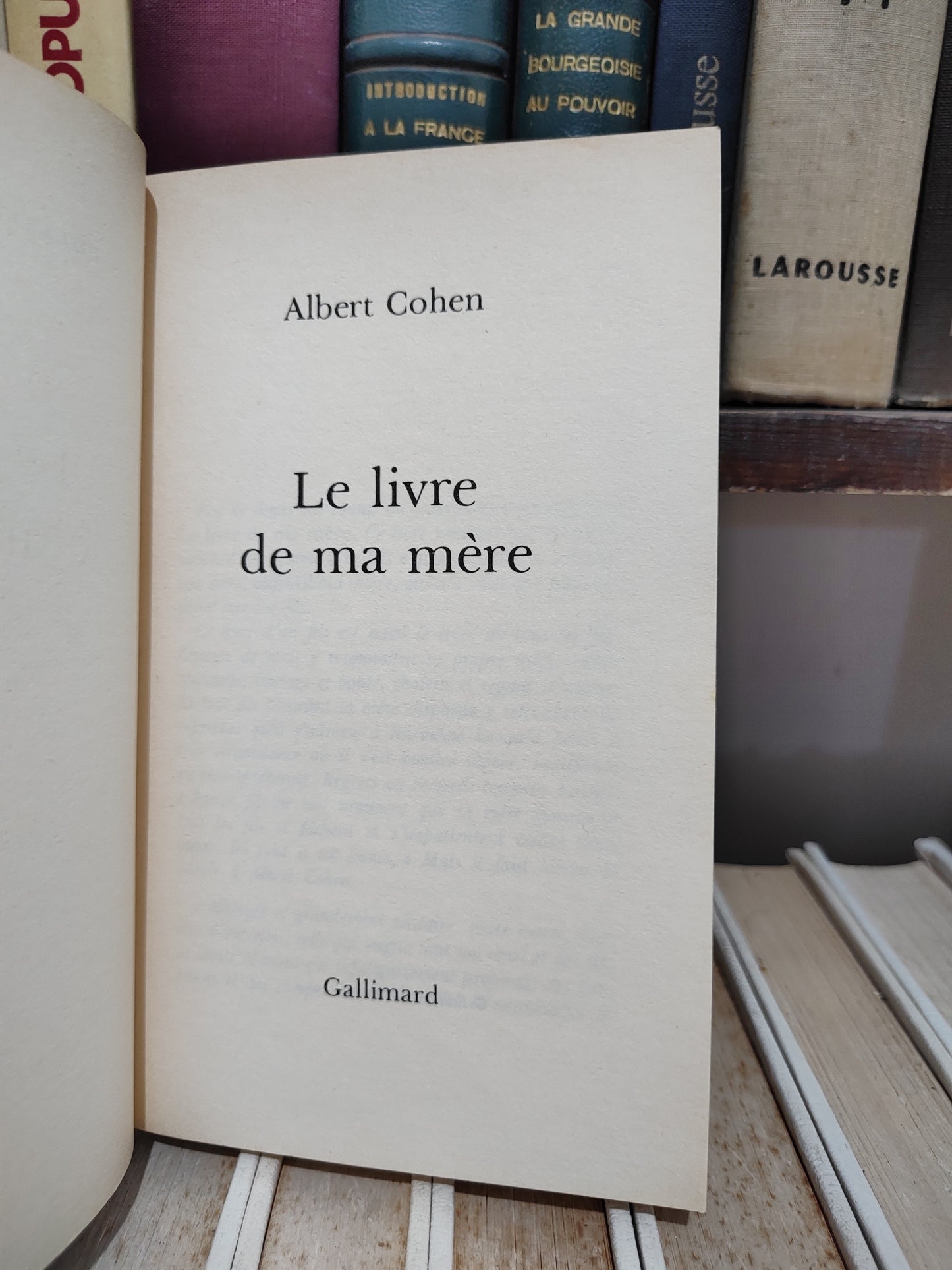 Cohen - Le livre de ma mère