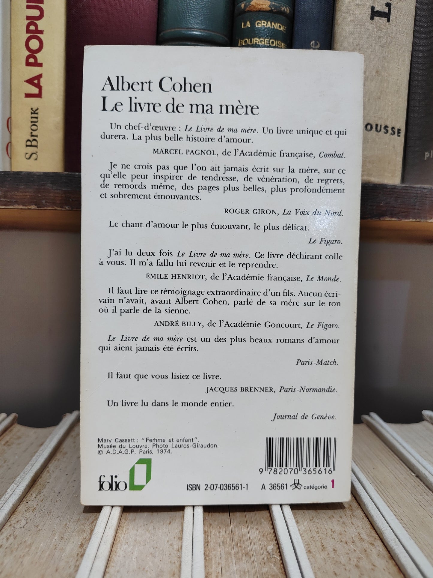Cohen - Le livre de ma mère