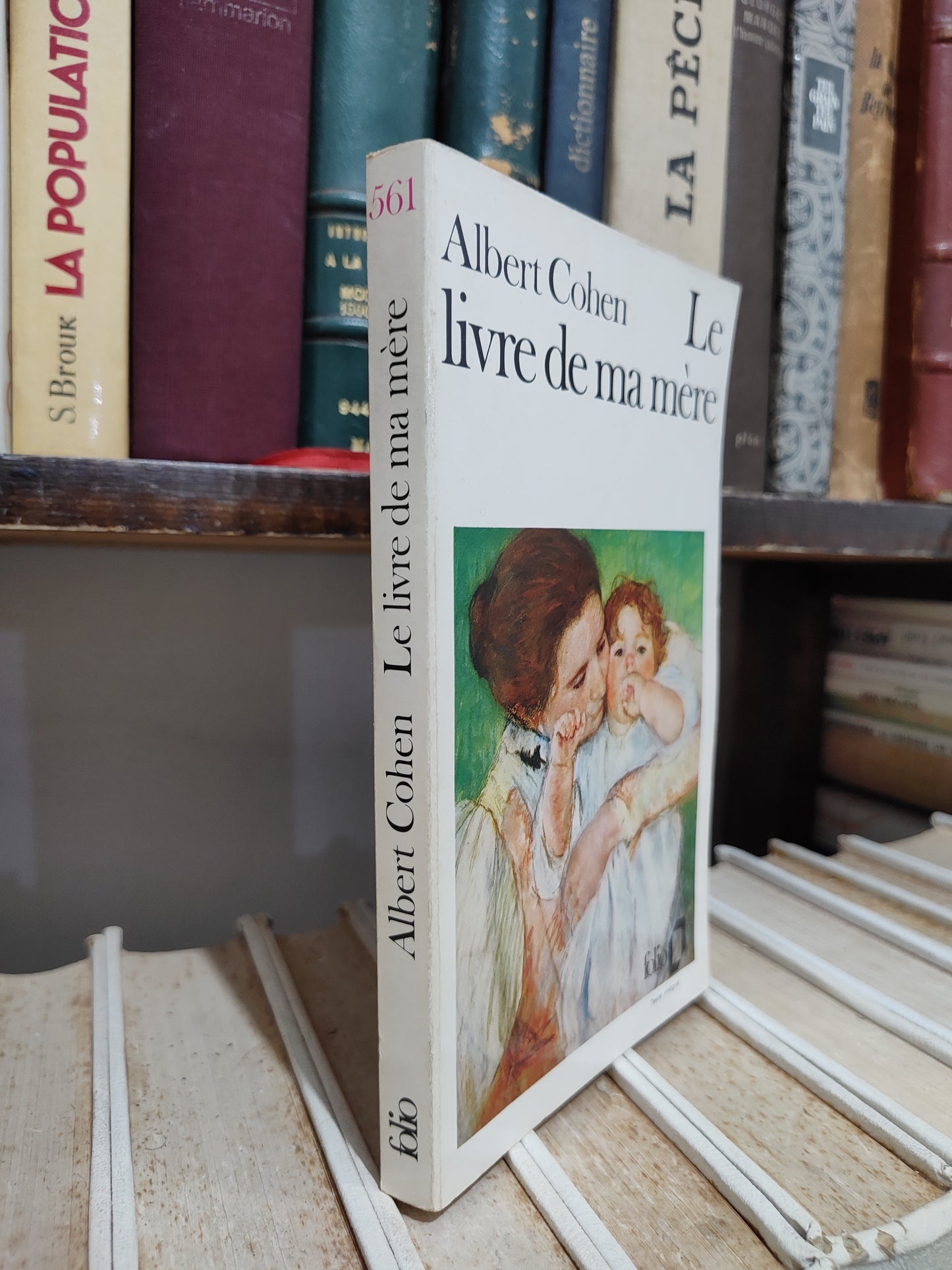 Cohen - Le livre de ma mère