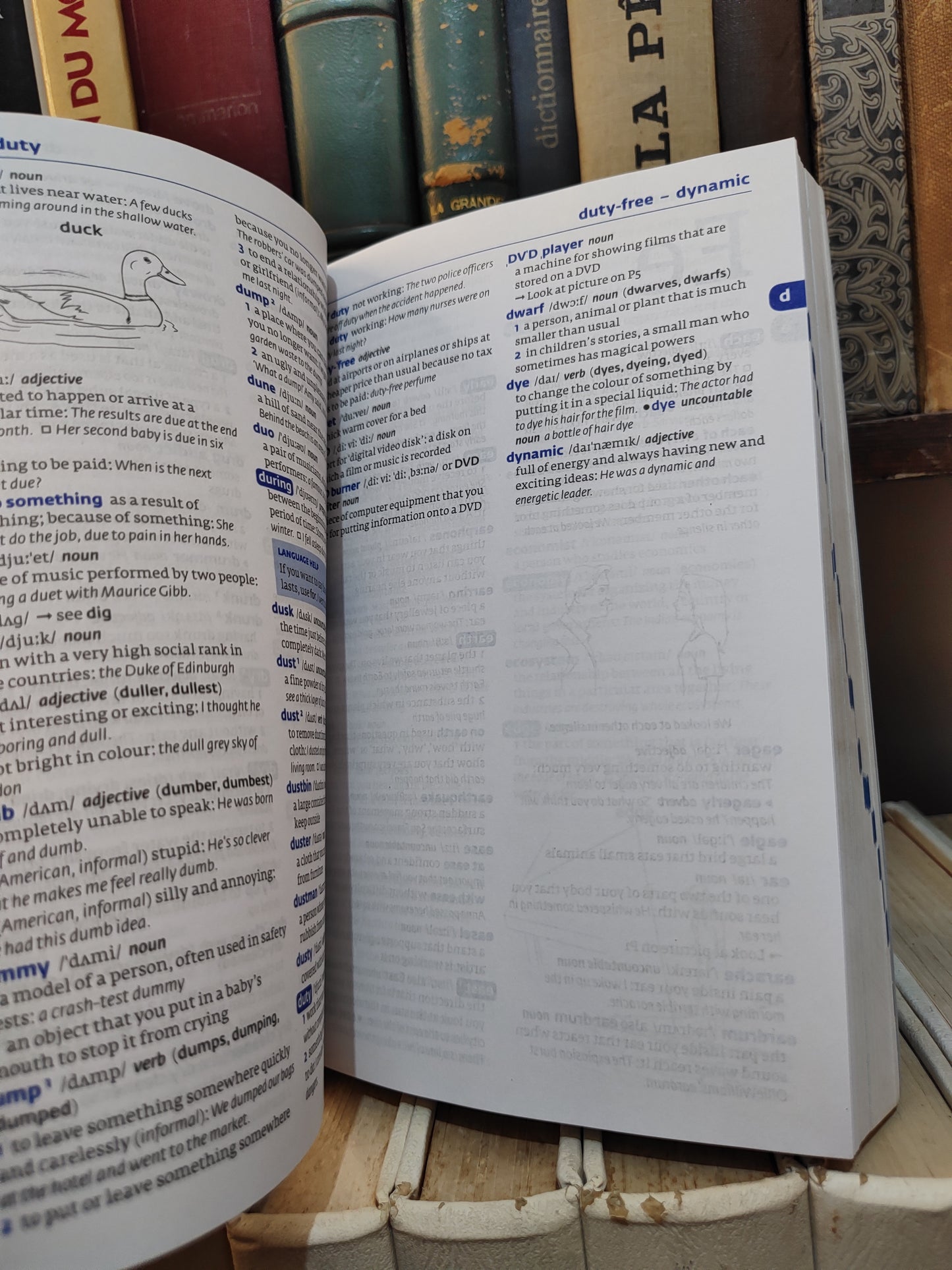 Collins Cobuild Essential English Dictionary