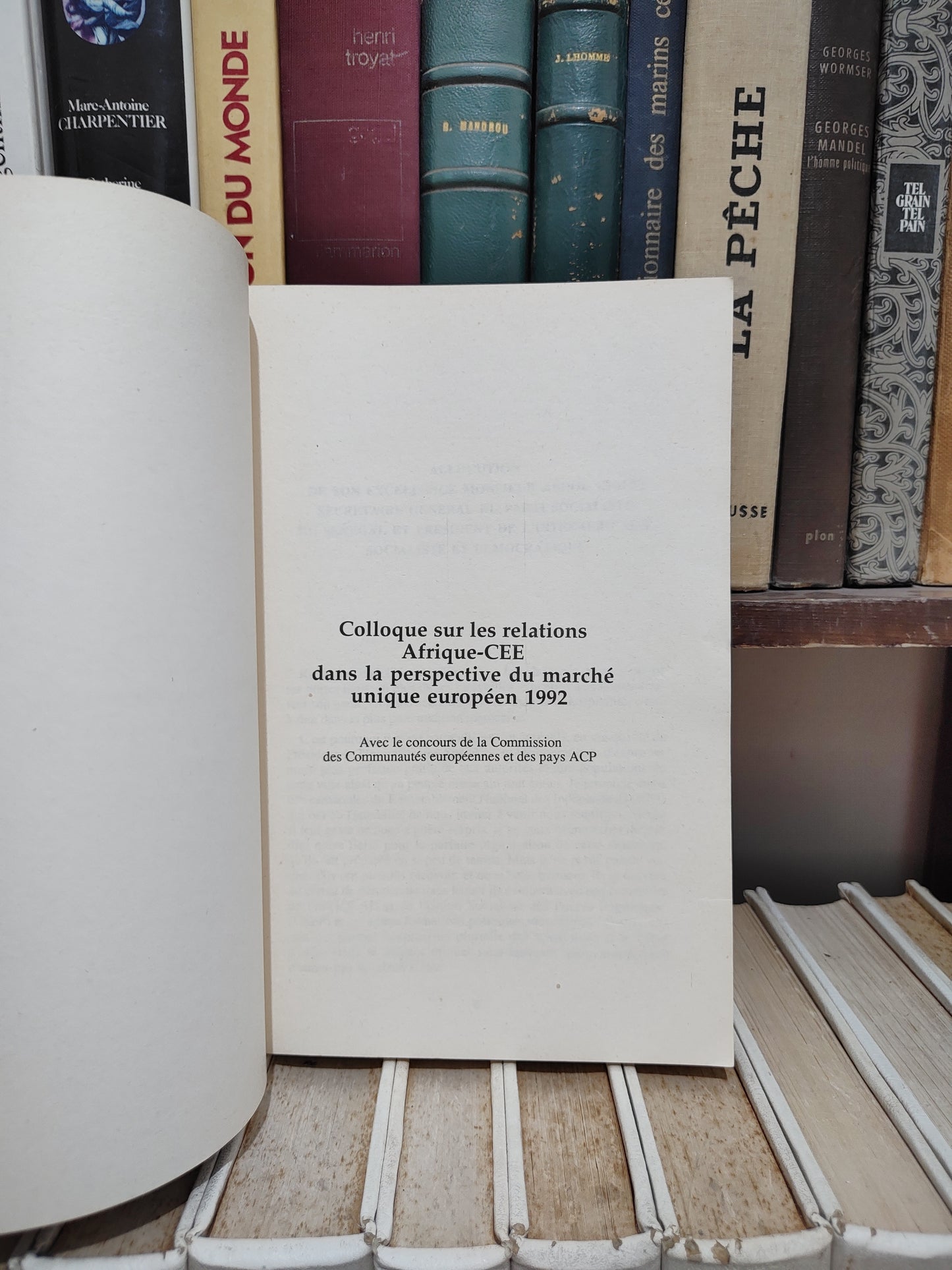Colloque sur les relations Afrique-CEE dans la perspective du marché unique européen 1992