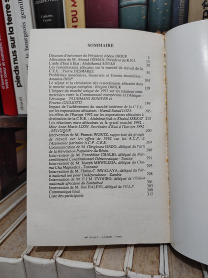 Colloque sur les relations Afrique-CEE dans la perspective du marché unique européen 1992