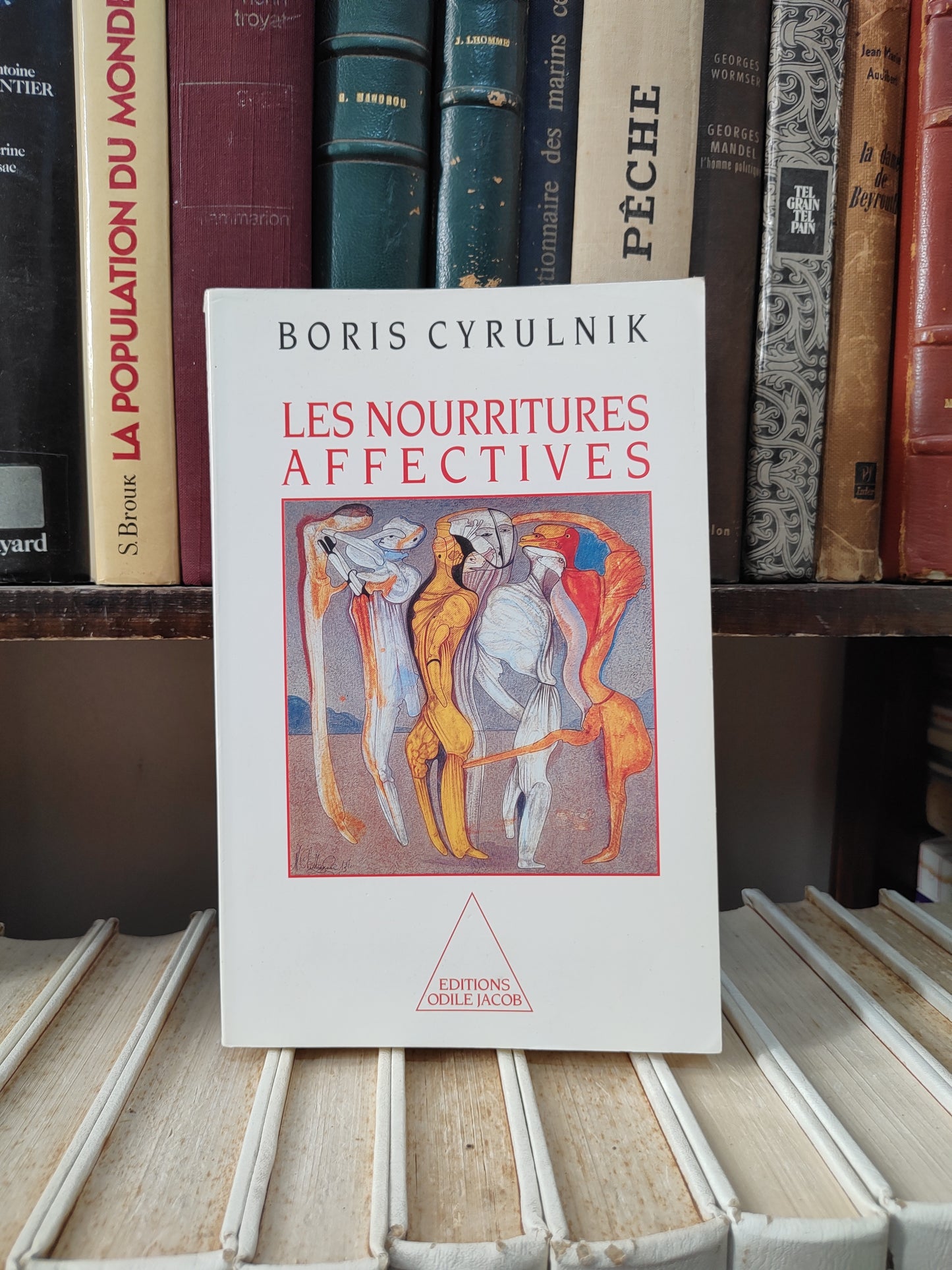 Cyrulnik - Les nourritures affectives