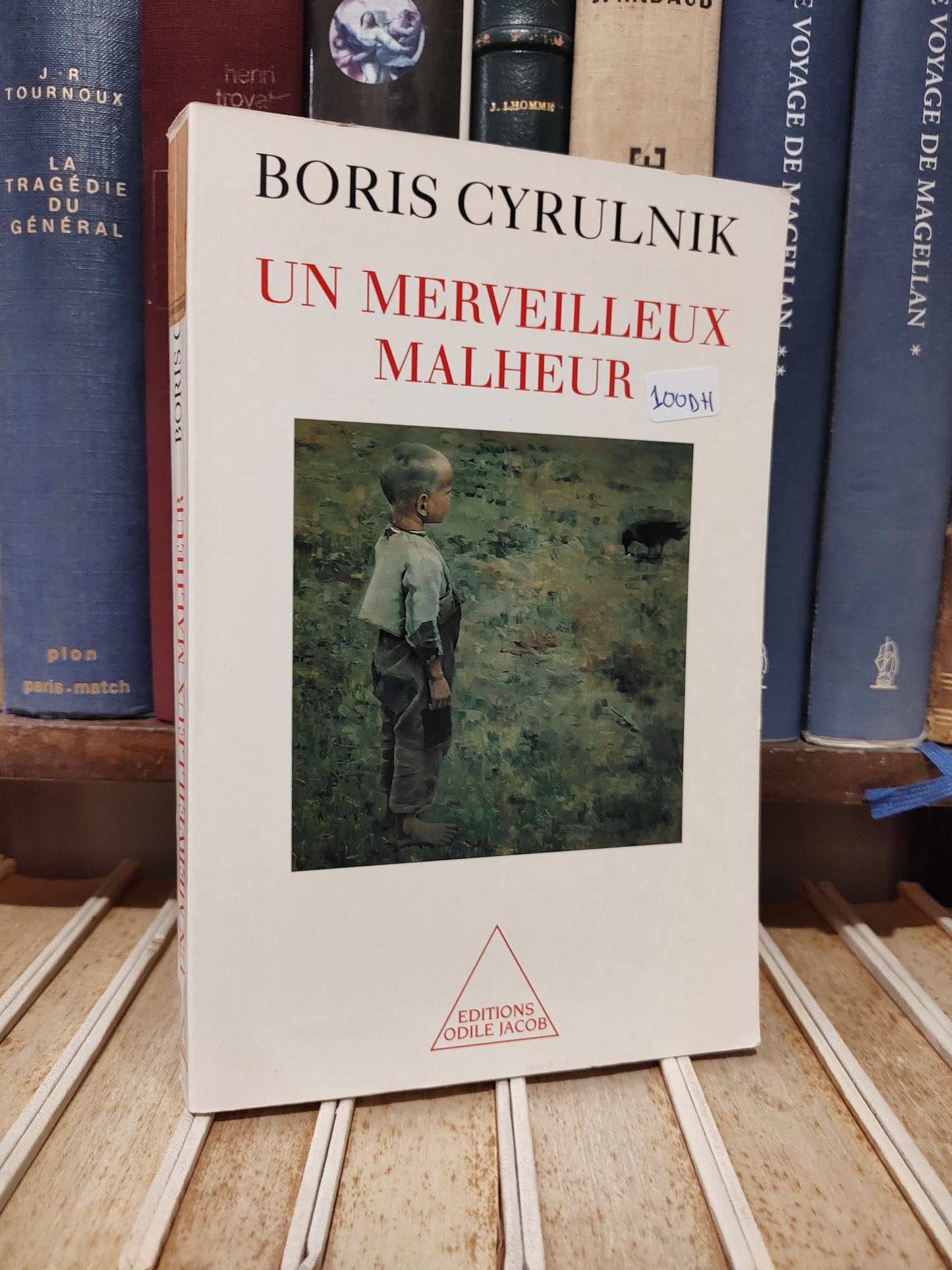 Cyrulnik - Un merveilleux malheur