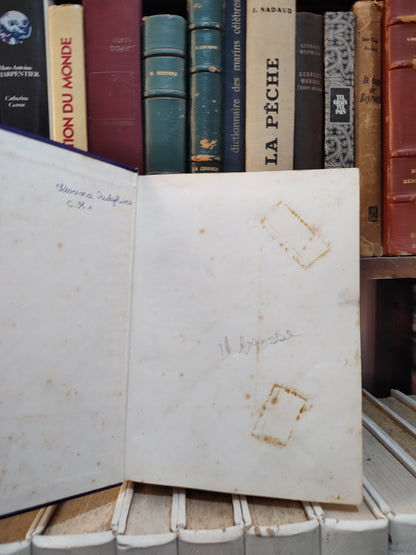 DFC Dictionnaire du français contemporain Manuel et travaux pratique