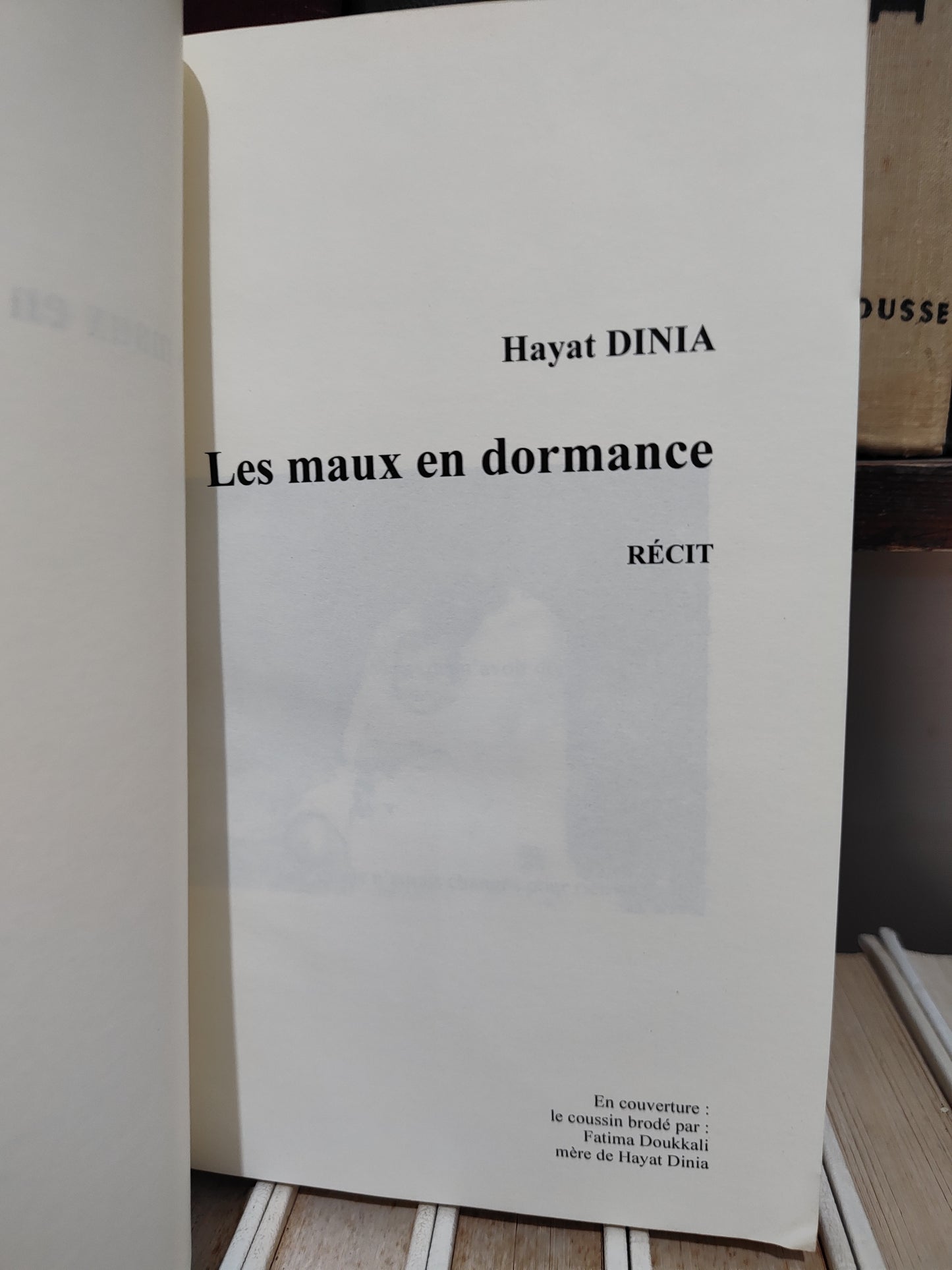 Dinia - Les maux en dormance récit