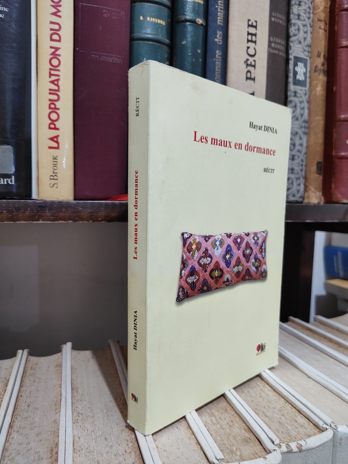 Dinia - Les maux en dormance récit