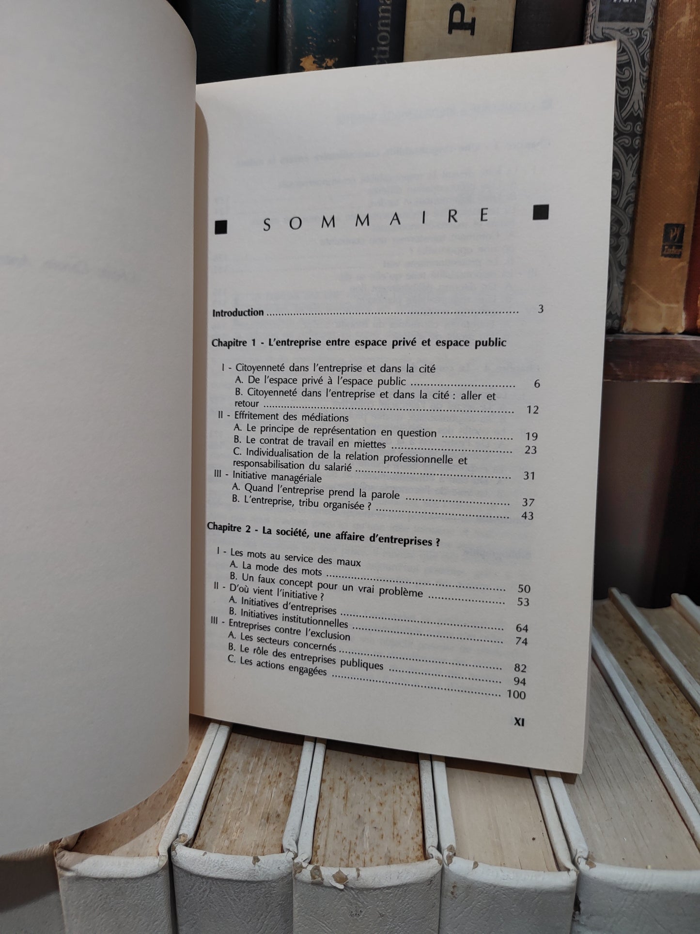 D'Almeida - L'entreprise à responsabilité illimitée : La citoyenneté en questions