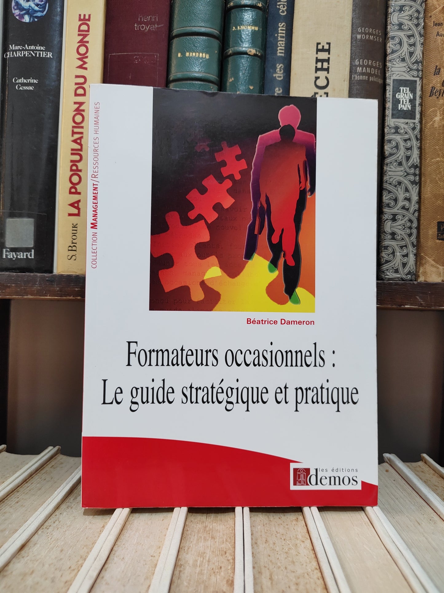 Dameron - Formateurs occasionnels : Le guide stratégique et pratique