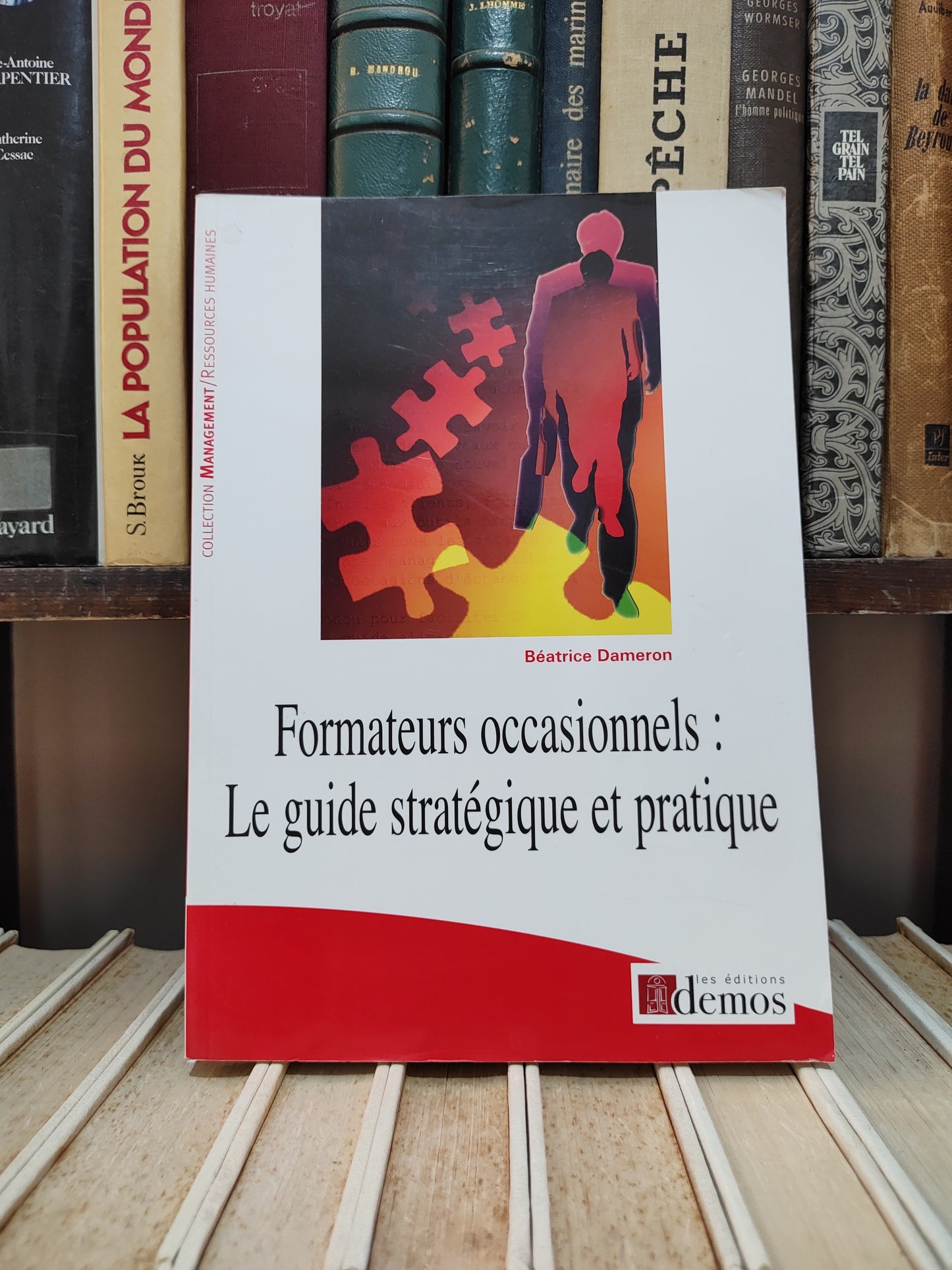Dameron - Formateurs occasionnels  : Le guide stratégique et pratique