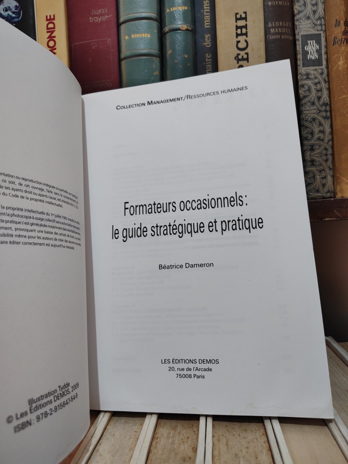 Dameron - Formateurs occasionnels : Le guide stratégique et pratique