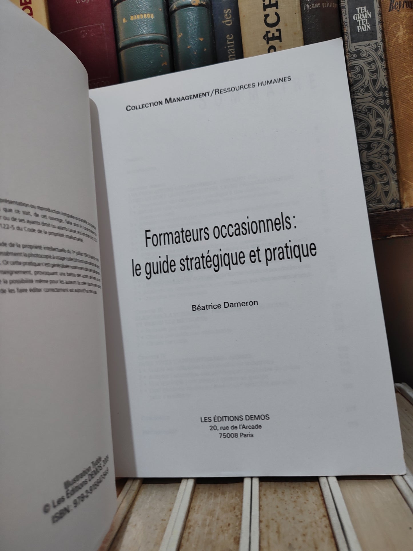 Dameron - Formateurs occasionnels  : Le guide stratégique et pratique