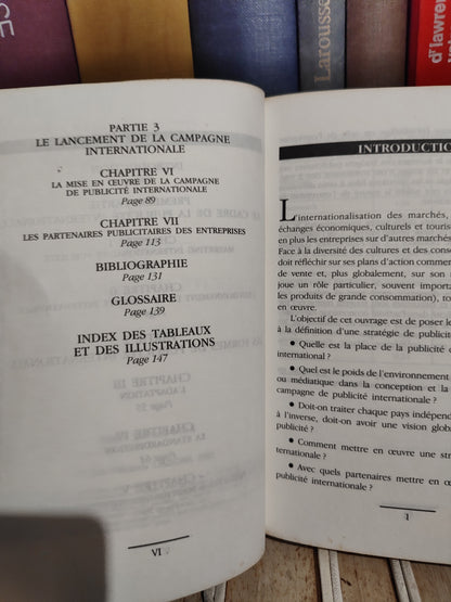 Decaudin - Stratégies de publicité internationale