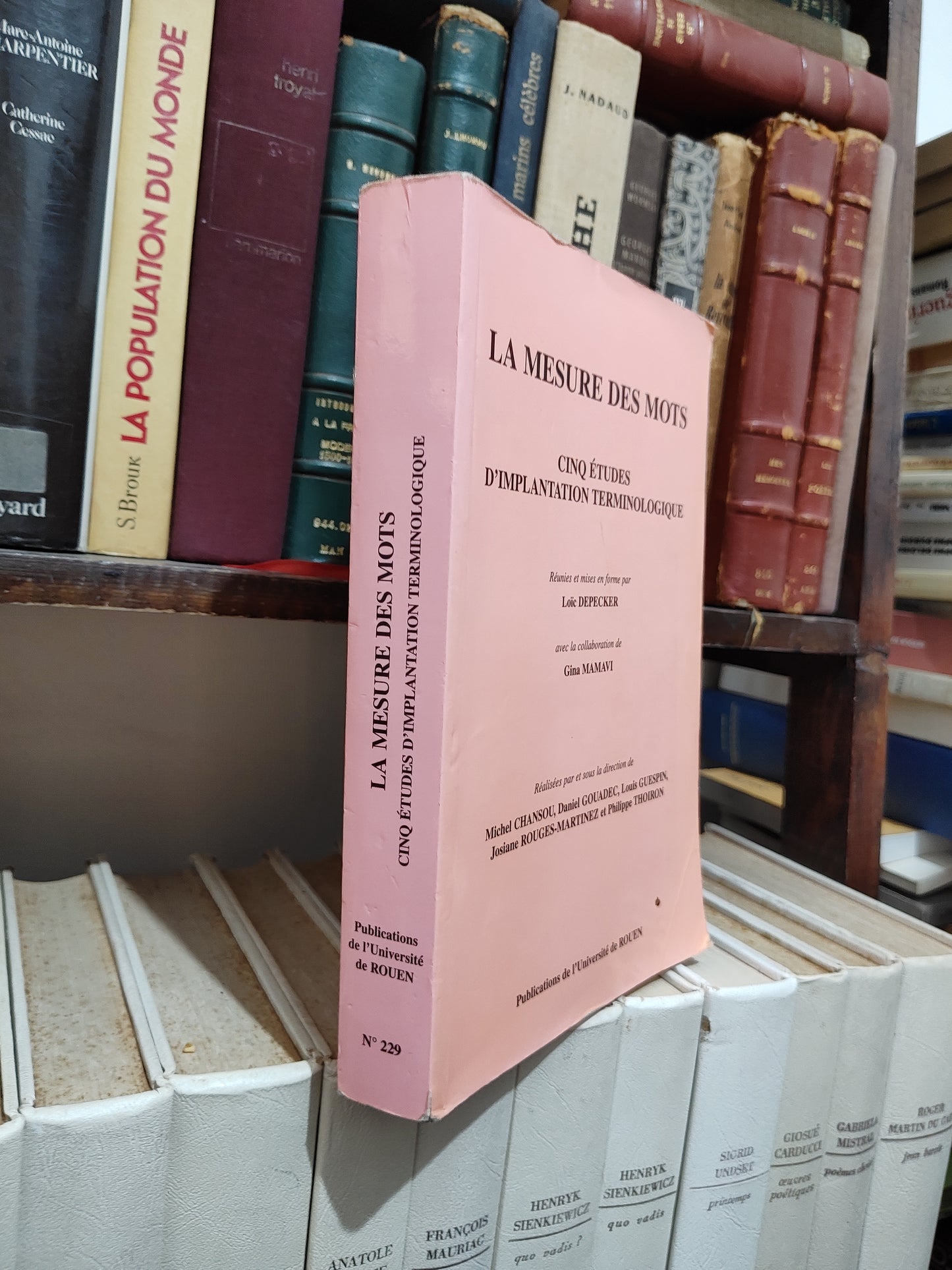 Depecker - La mesure des mots  Cinq études d'implantation terminologique