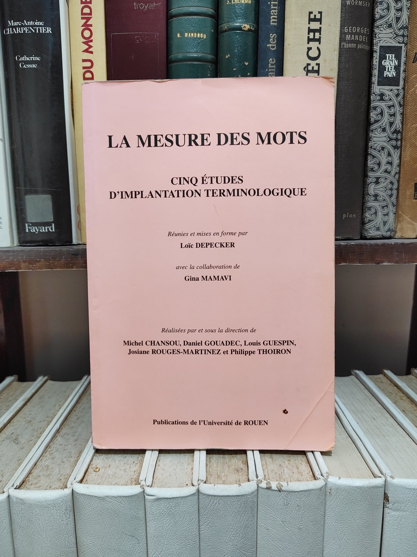 Depecker - La mesure des mots  Cinq études d'implantation terminologique