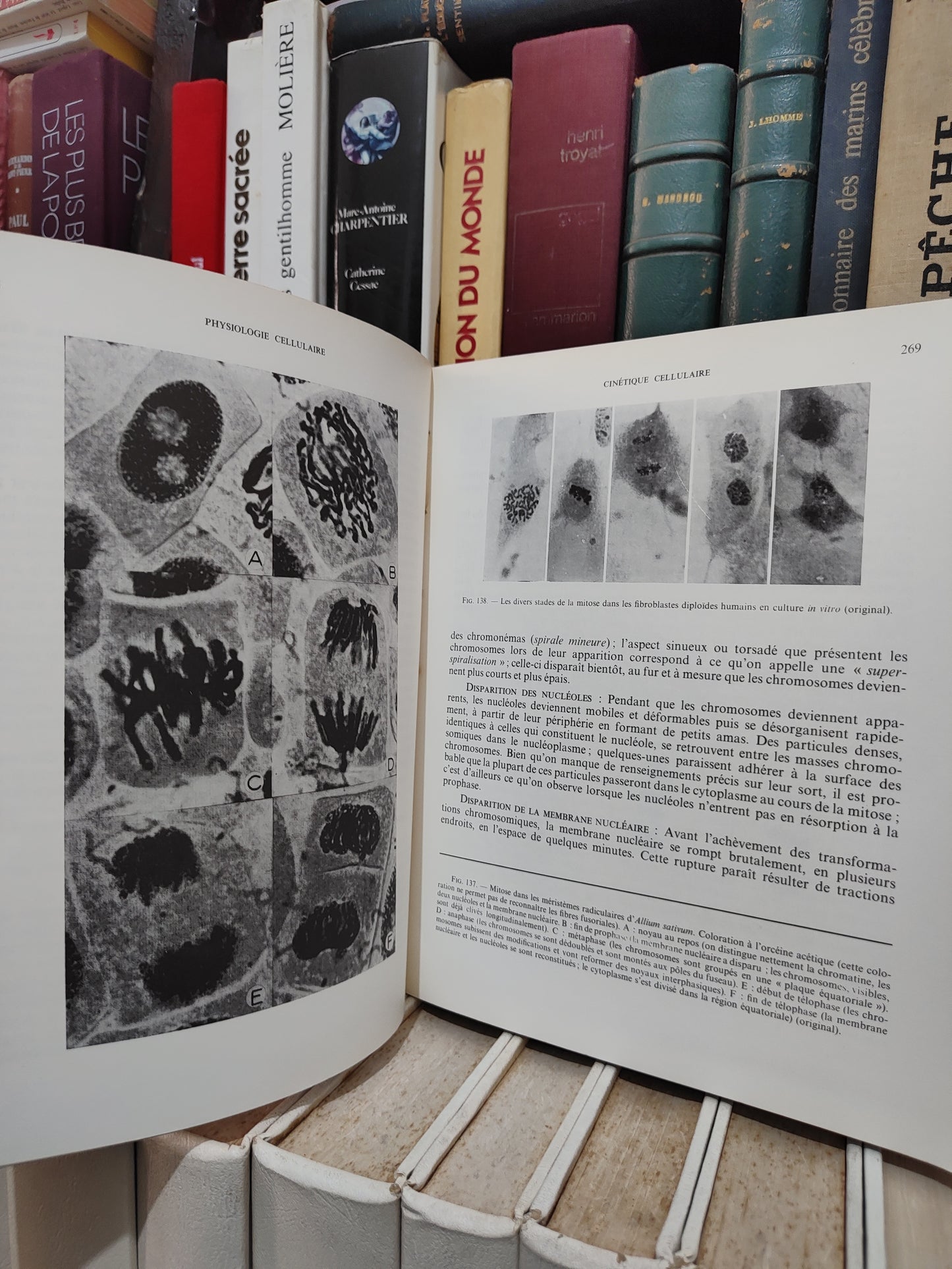 Deysson - Physiologie cellulaire tome 2