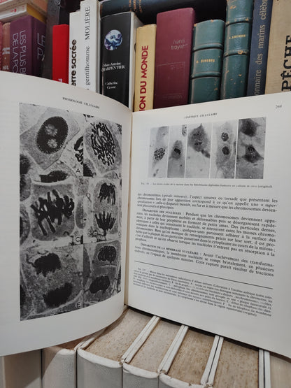 Deysson - Physiologie cellulaire tome 2