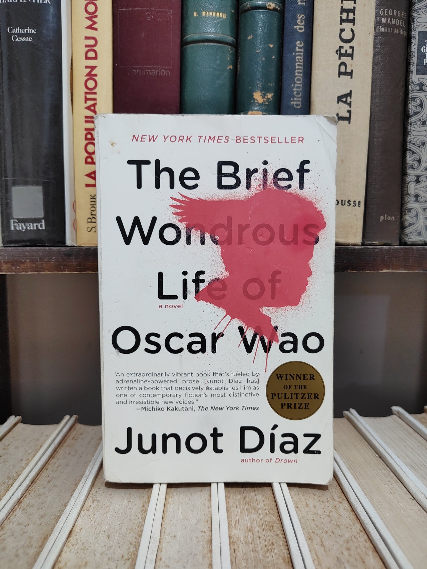 Diaz - The Brief Wondrous Life of Oscar Wao