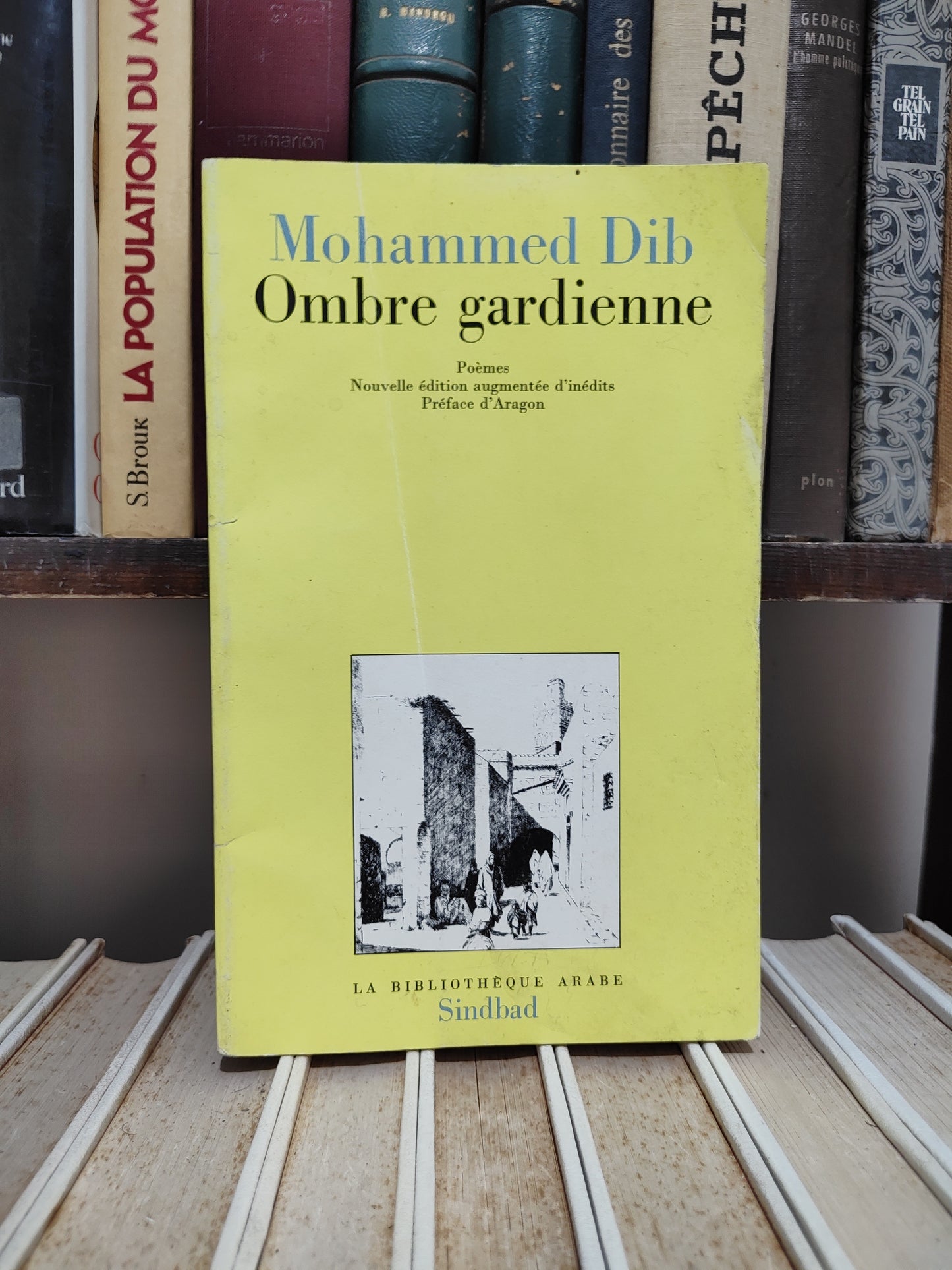 Dib - Ombre gardienne