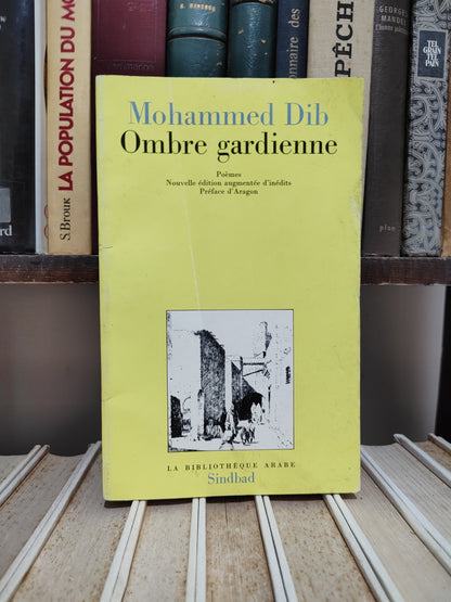 Dib - Ombre gardienne