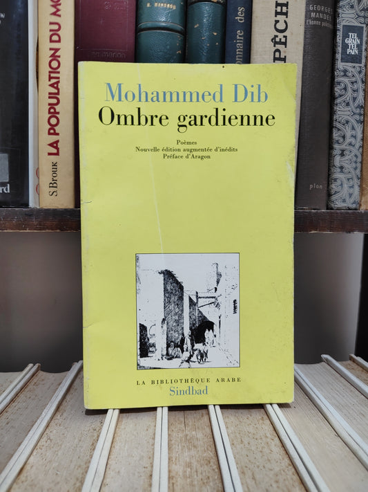 Dib - Ombre gardienne