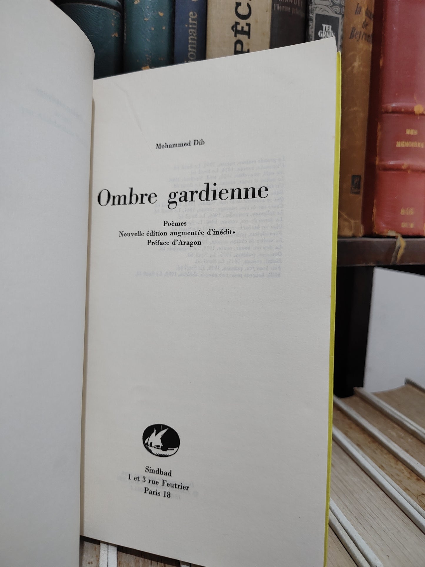 Dib - Ombre gardienne