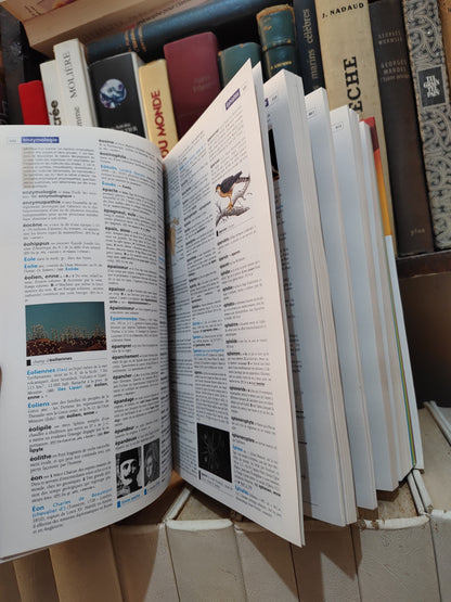 Dictionnaire Hachette 2014