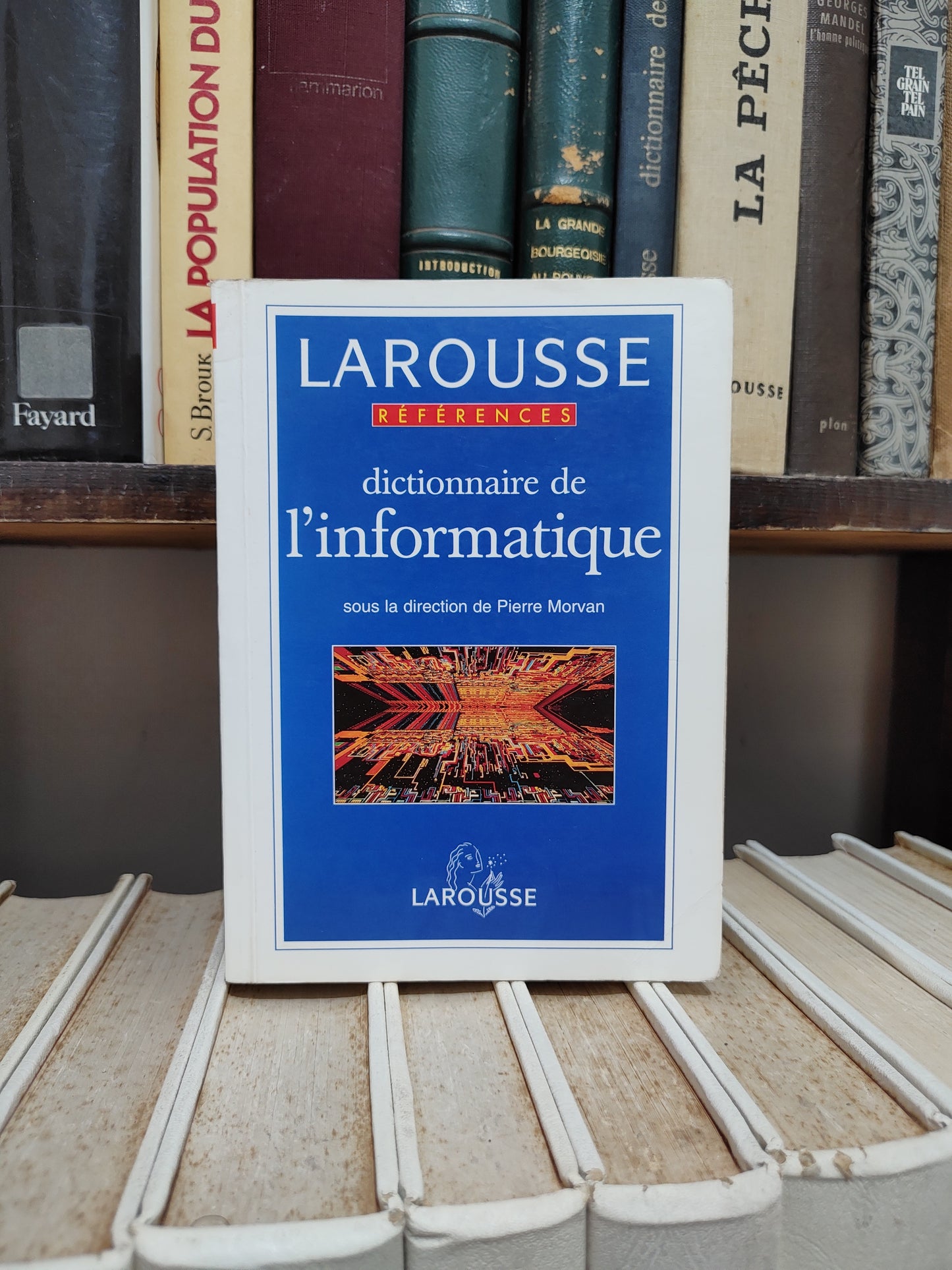 Dictionnaire de l'informatique Larousse