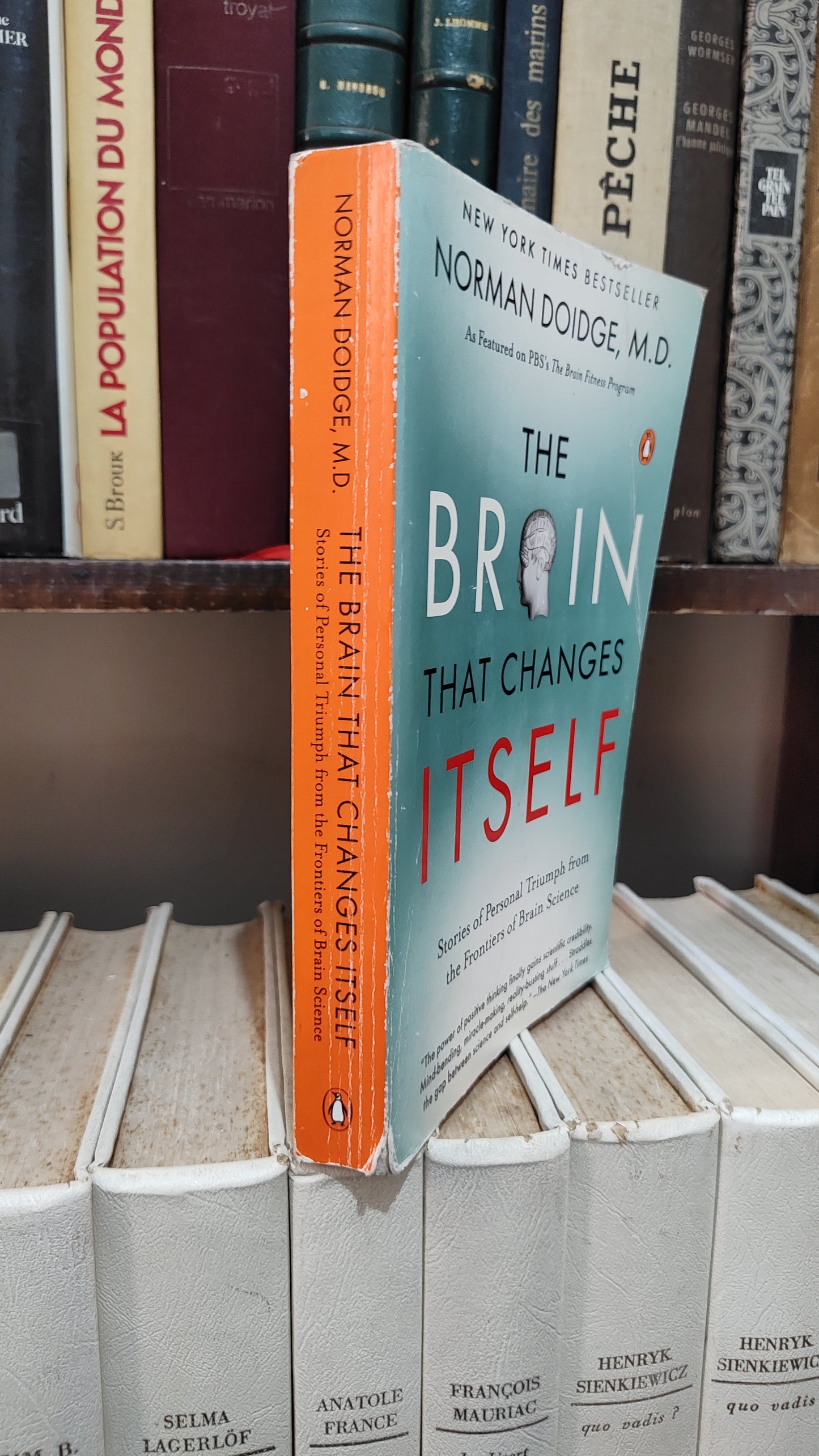 Doidge - The brain that changes itself