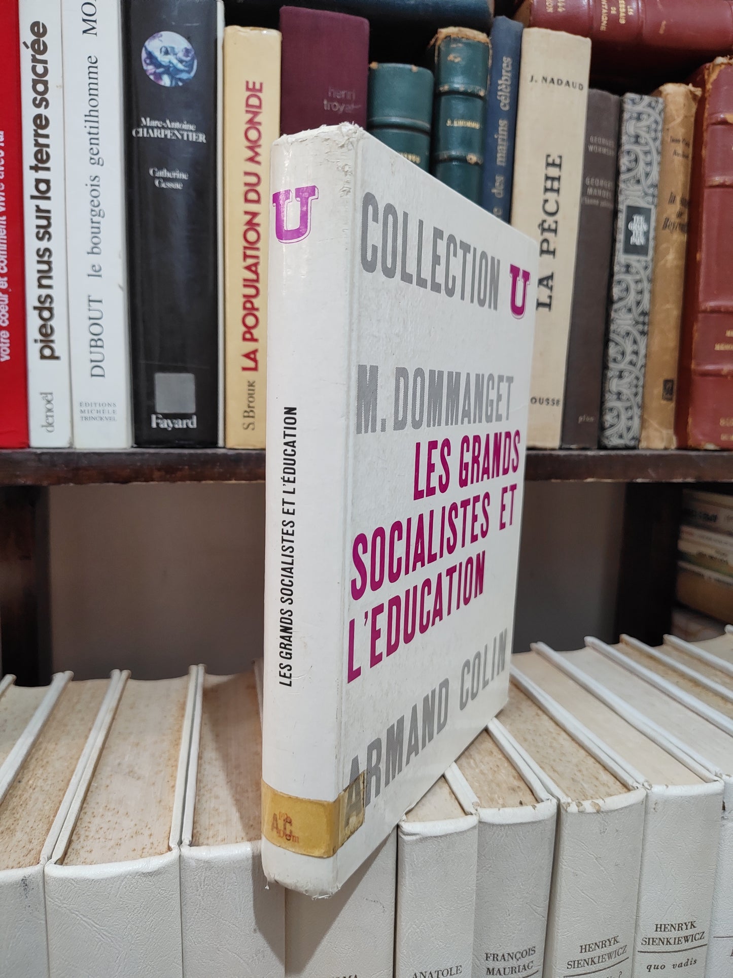 Dommanget - Les grands socialistes et l'éducation