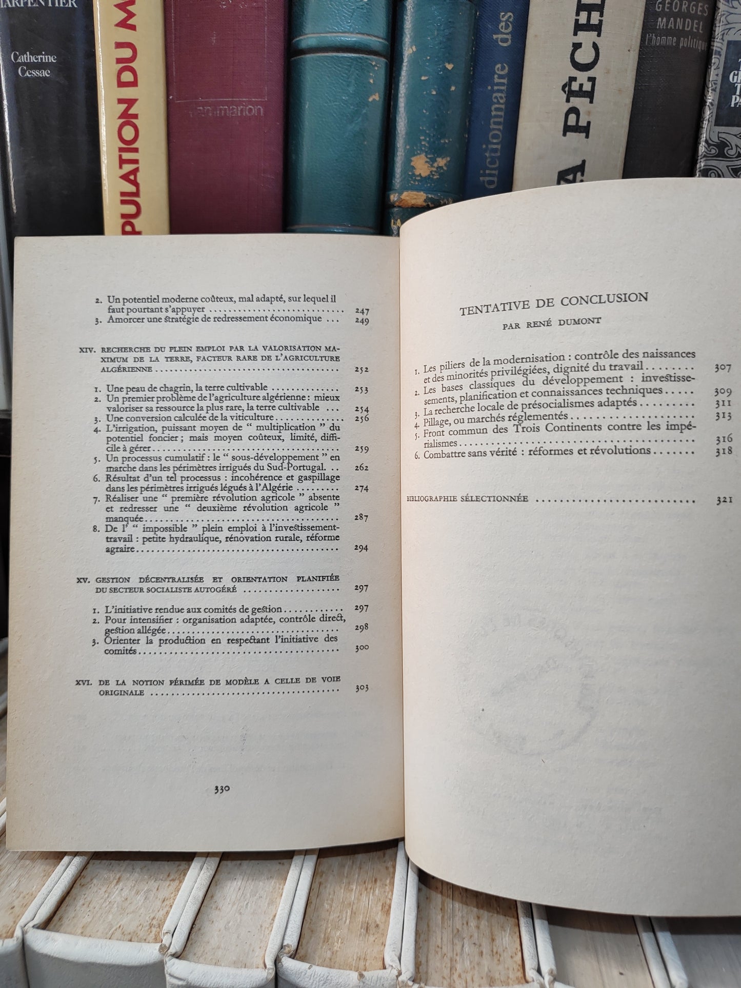 Dumont - développement et socialismes