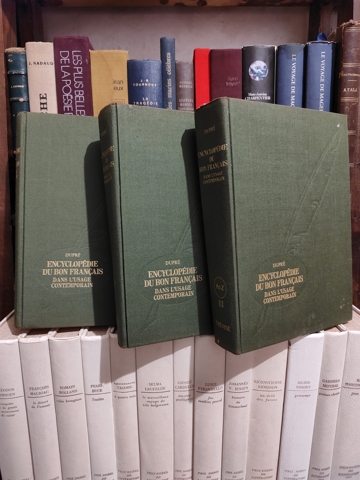 Dupré - Encyclopédie du bon français dans l'usage contemporain