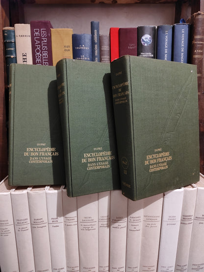 Dupré - Encyclopédie du bon français dans l'usage contemporain