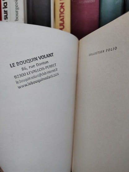Duras Le ravissement de Lol V Stein (