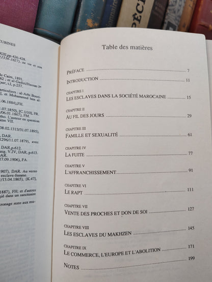 Ennaji - Soldat, domestiques et concubines : L'esclavage au Maroc au XIX siècle