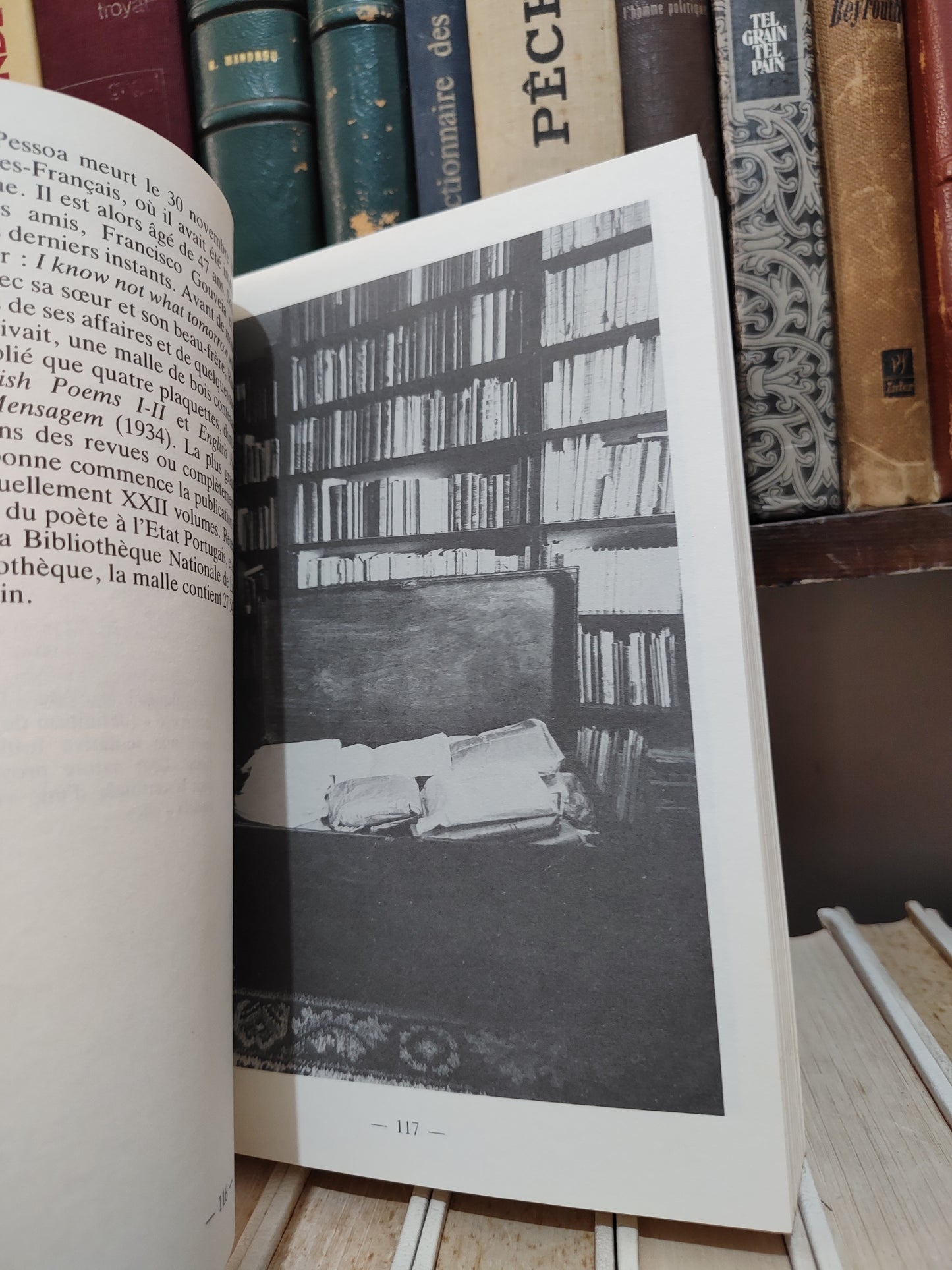 Fernando Pessoa Poète pluriel