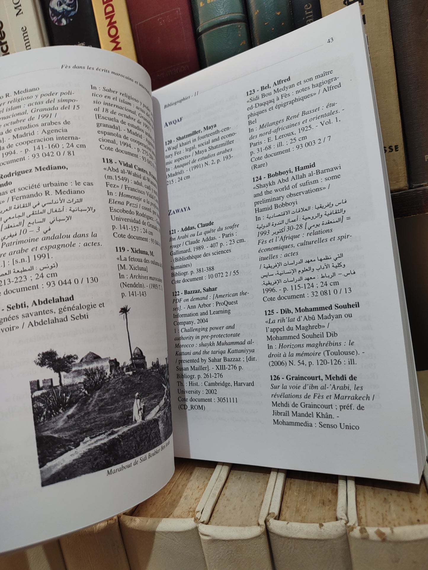 Fès dans les écrits marocains et internationaux فاس في الكتابات المغربية و الدولية