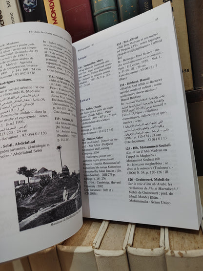 Fès dans les écrits marocains et internationaux فاس في الكتابات المغربية و الدولية