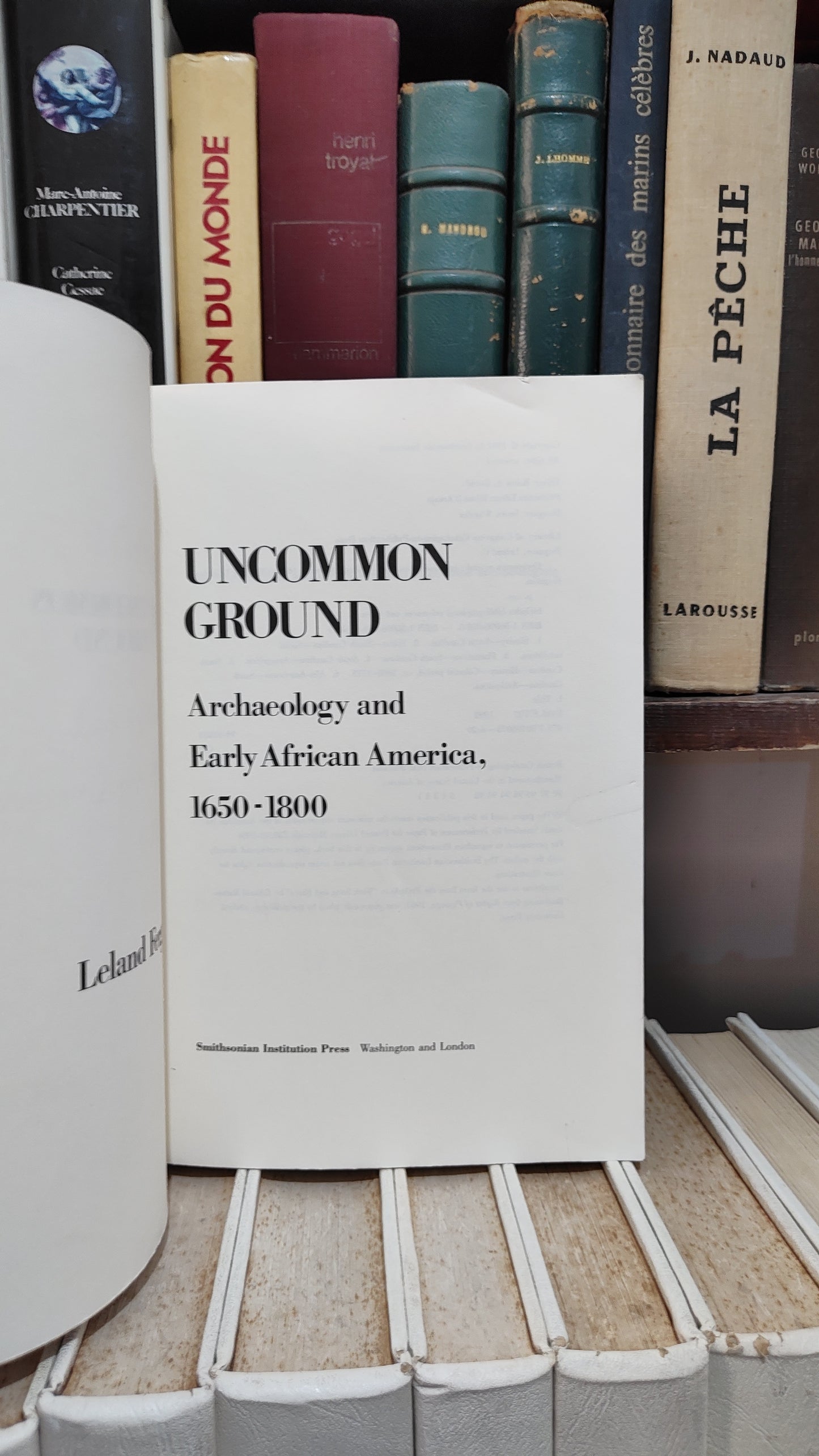 Fetguson - Uncommon Ground : Archaeology and early African America 1650-1800