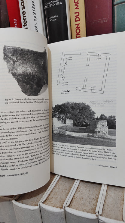 Fetguson - Uncommon Ground : Archaeology and early African America 1650-1800