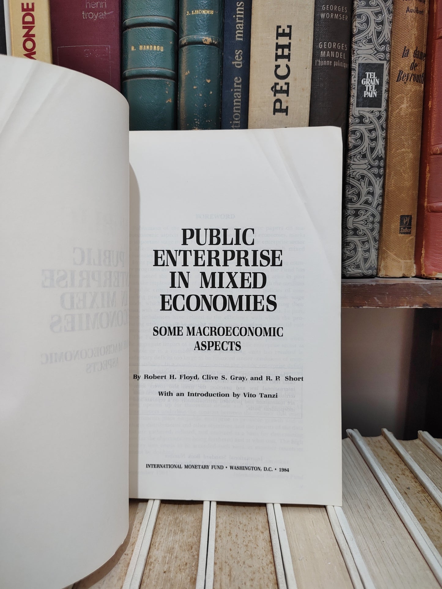 Floyd - Public entreprise in mixed economies : somme macroeconomic aspects