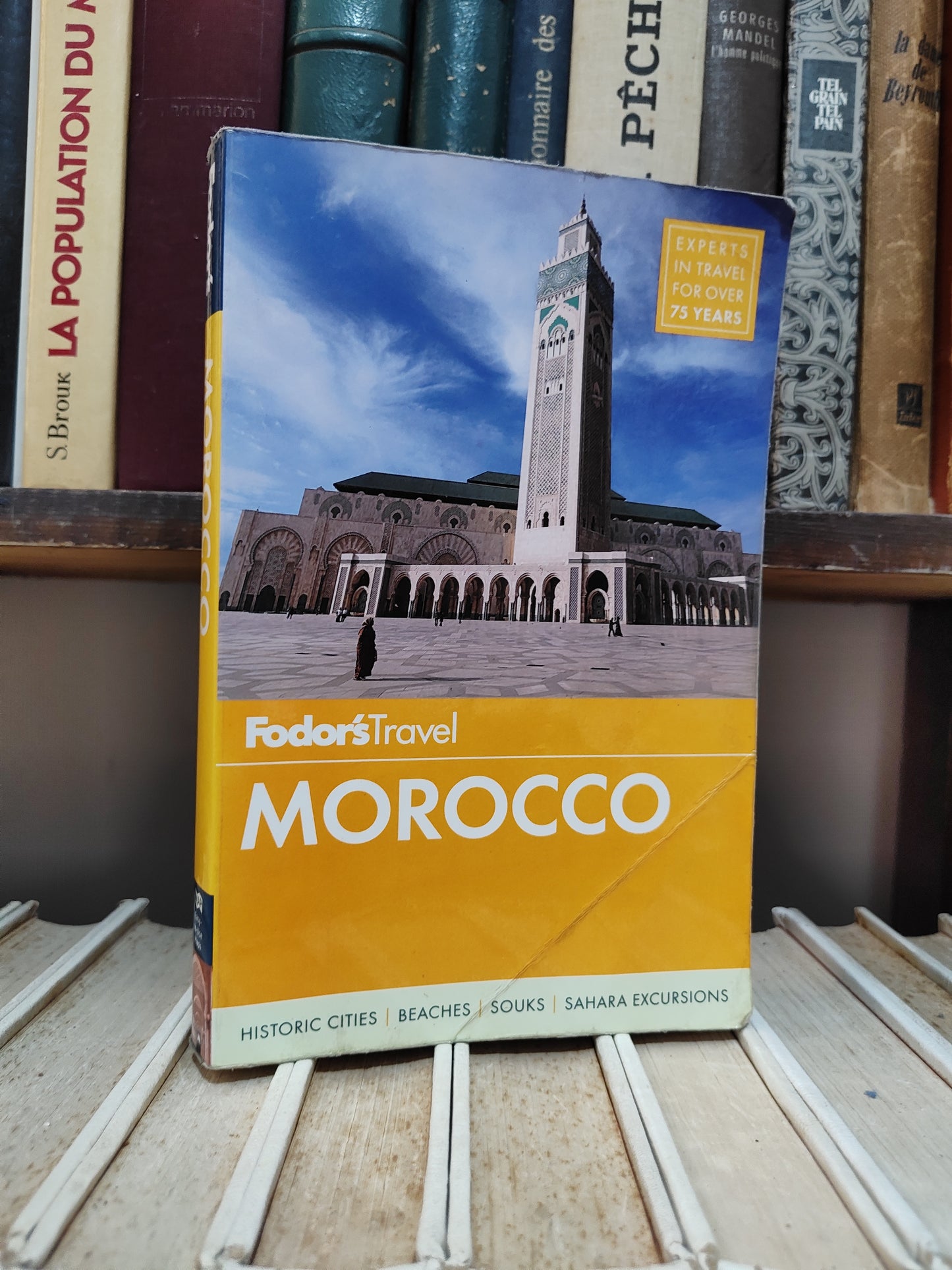 Fodor's Travel Morocco