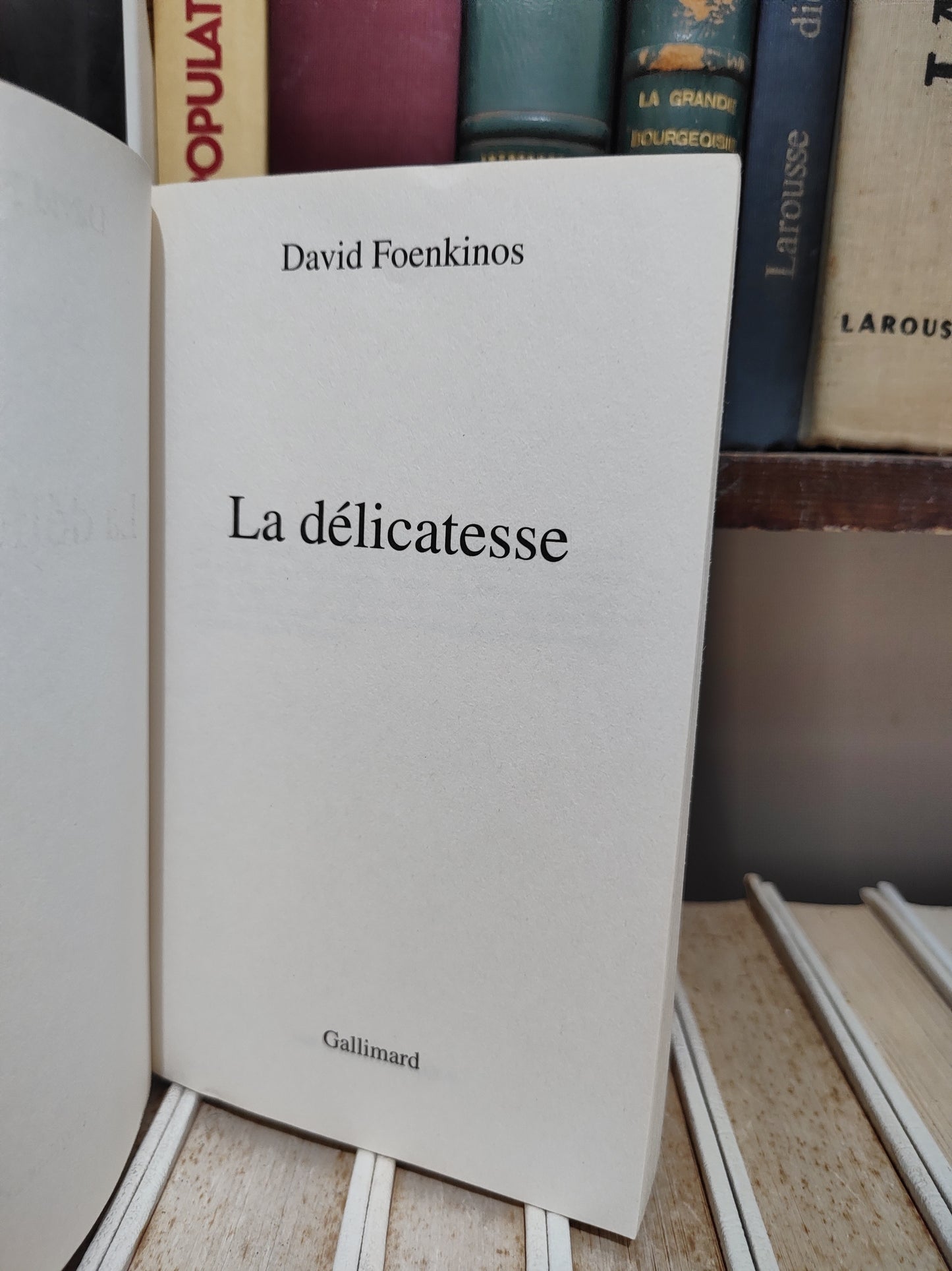 Foenkinos - La délicatesse